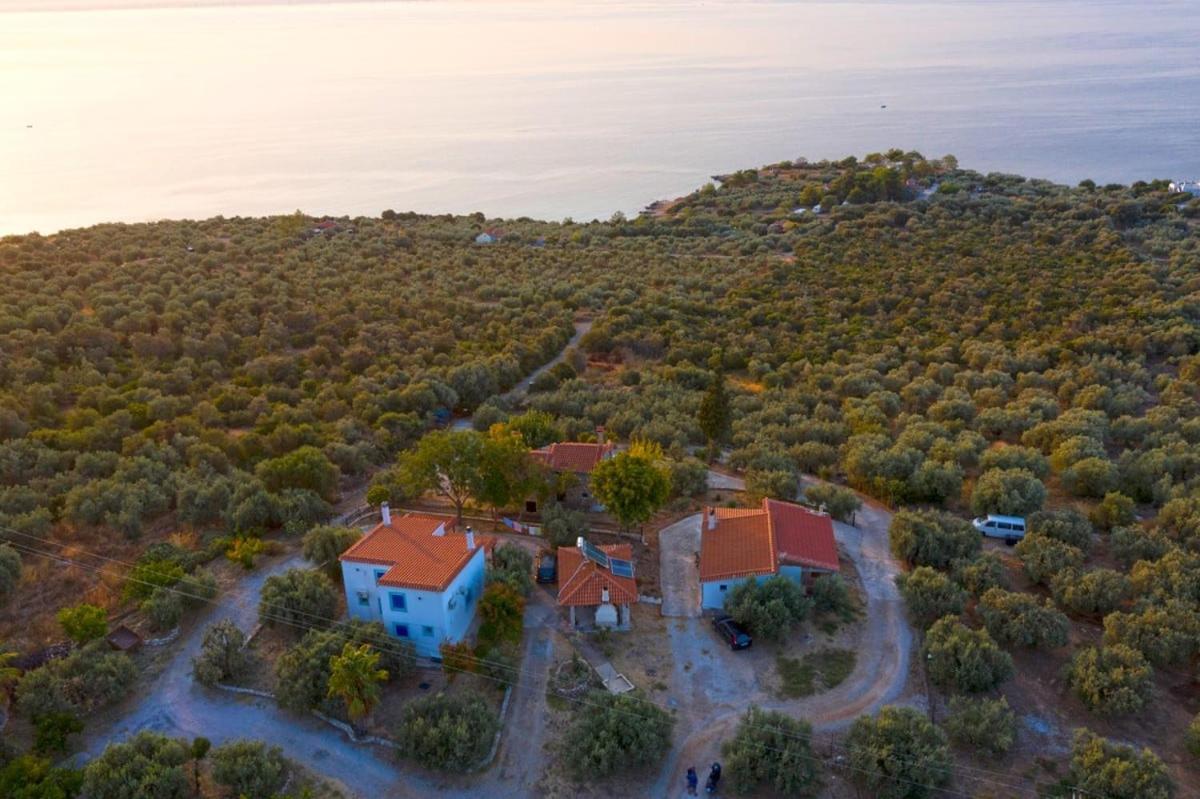 Four Independence Houses By The Sea Glida Exterior photo